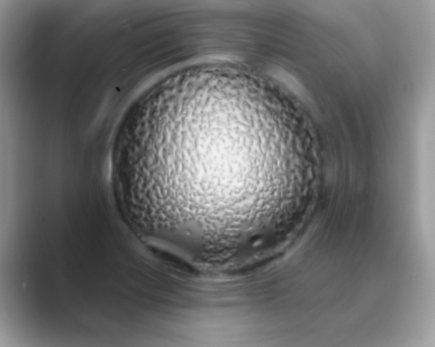 X0000089761420200707051825