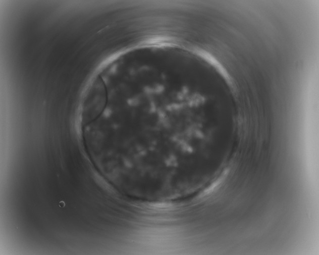 X0000089761421200707051825