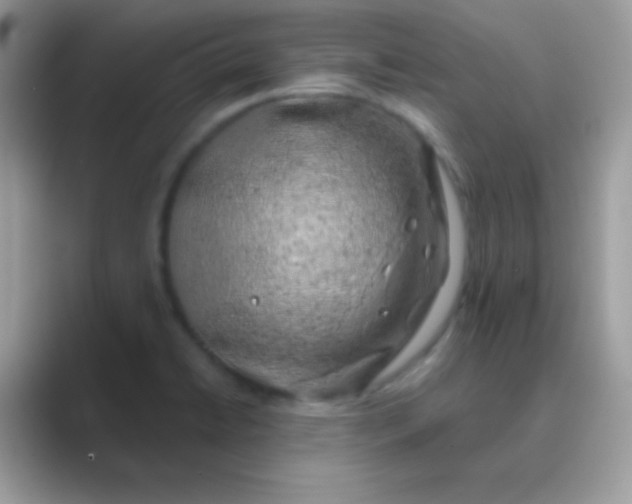 X0000089761422200707051825