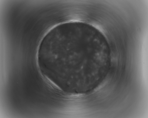 X0000089761423200707051825