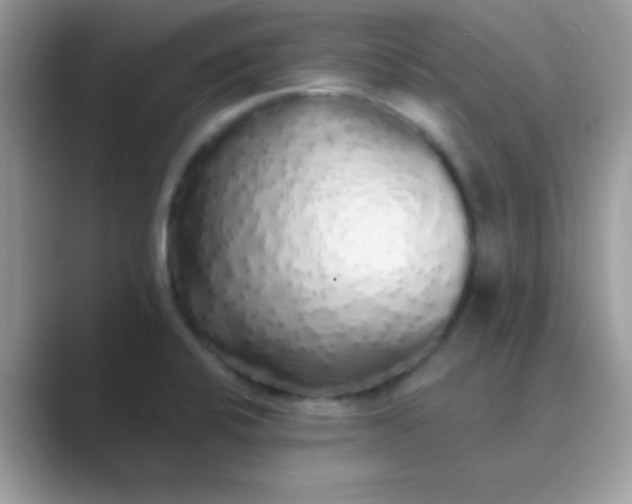 X0000089761424200707051825