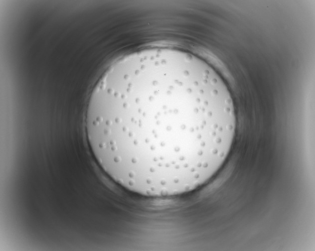 X0000089761425200707051825