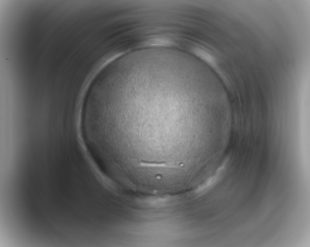 X0000089761426200707051825