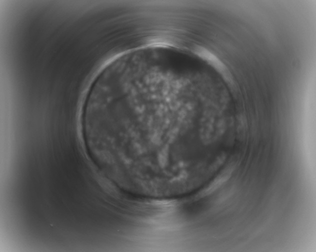 X0000089761427200707051825