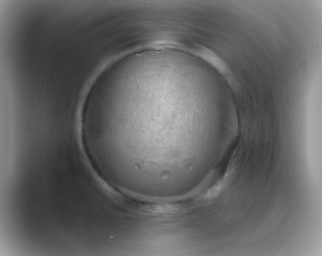 X0000089761430200707051825