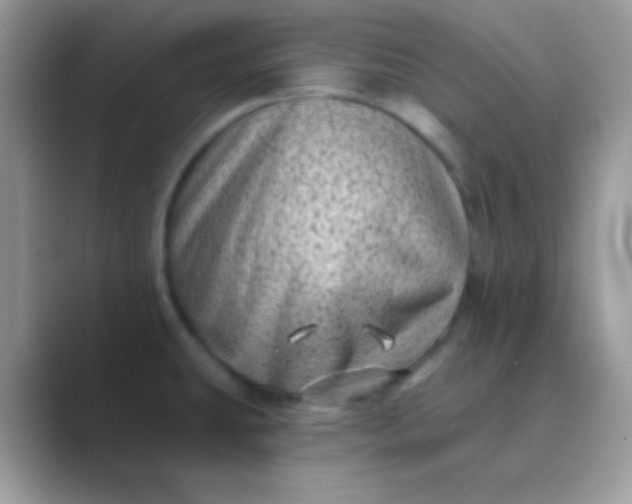 X0000089761431200707051825