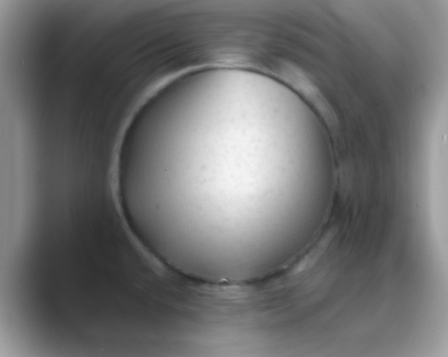 X0000089761432200707051825