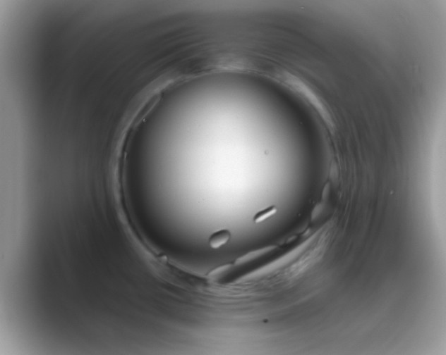 X0000089761434200707051825