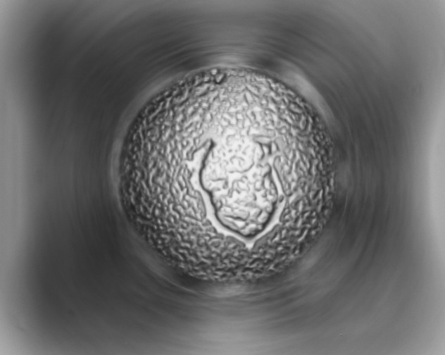 X0000089761435200707051825