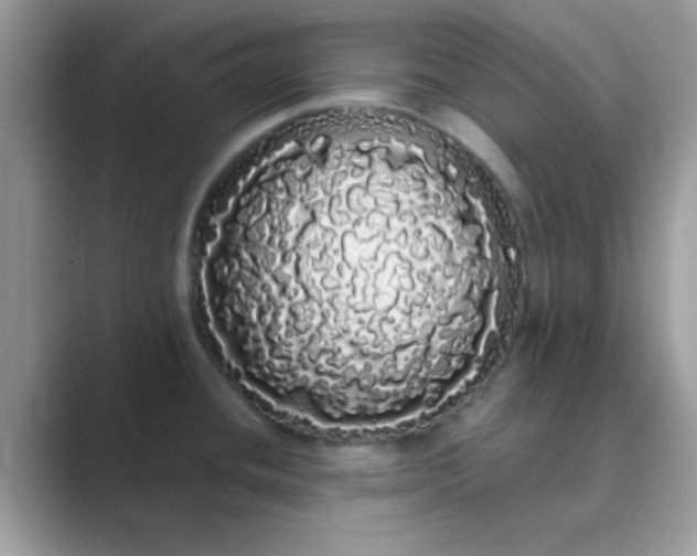 X0000089761436200707051825