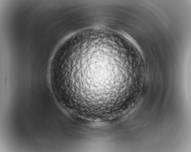 X0000089761437200707051825