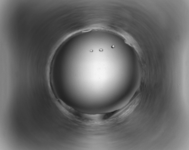 X0000089761438200707051825