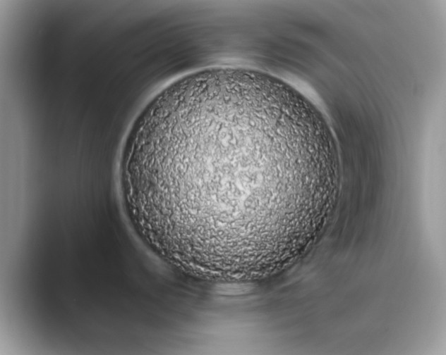 X0000089761440200707051825