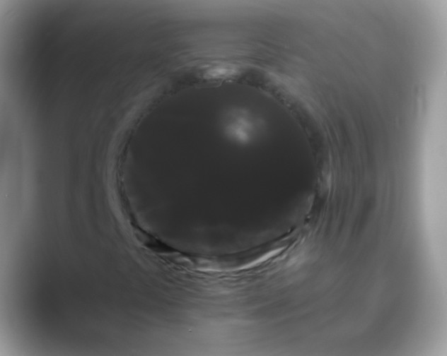 X0000089761441200707051825