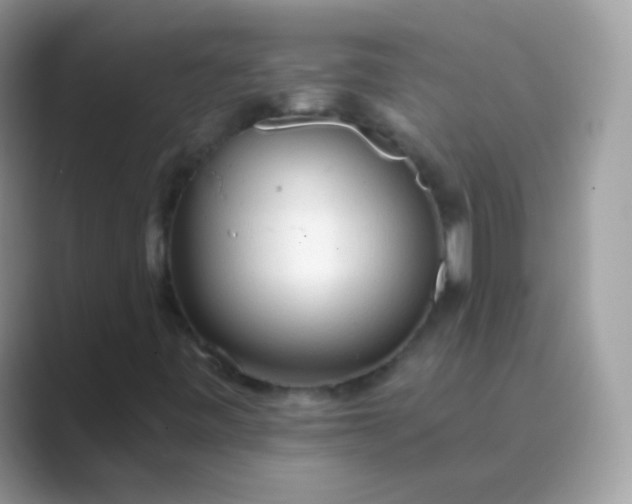 X0000089761443200707051825