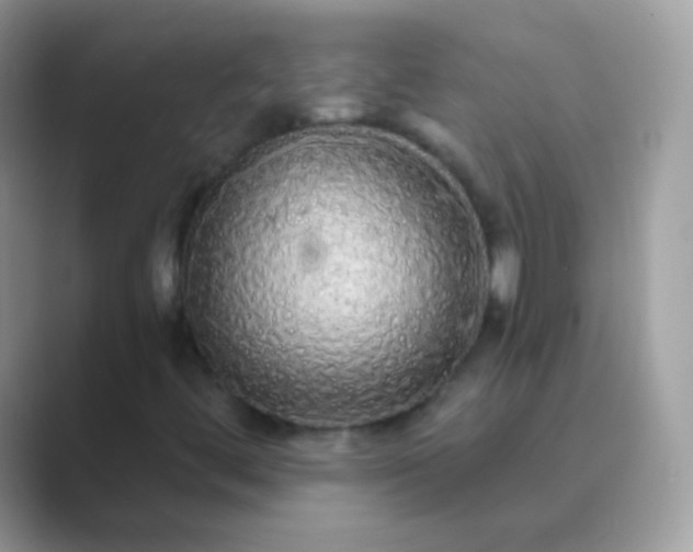 X0000089761444200707051825