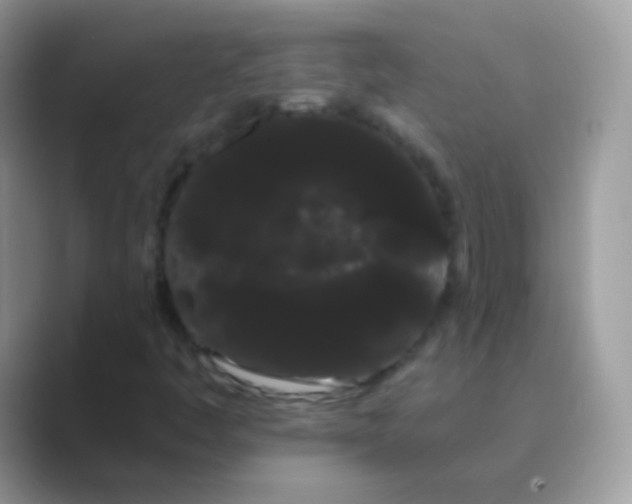 X0000089761445200707051825