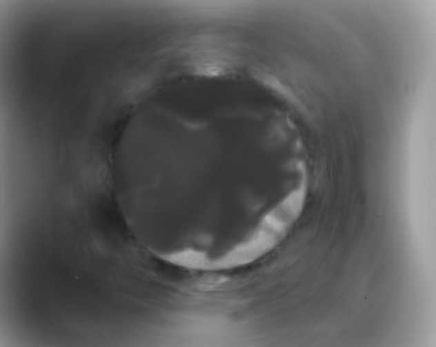 X0000089761446200707051825