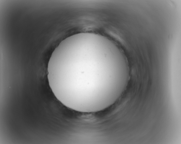 X0000089761447200707051825