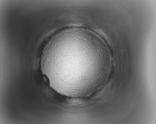 X0000089761448200707051825