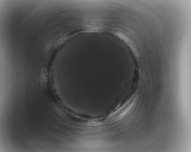 X0000089761449200707051825