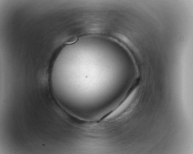 X0000089761450200707051825