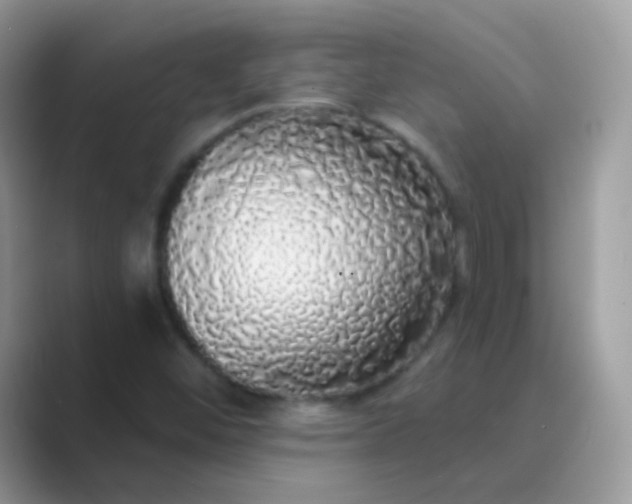 X0000089761452200707051824