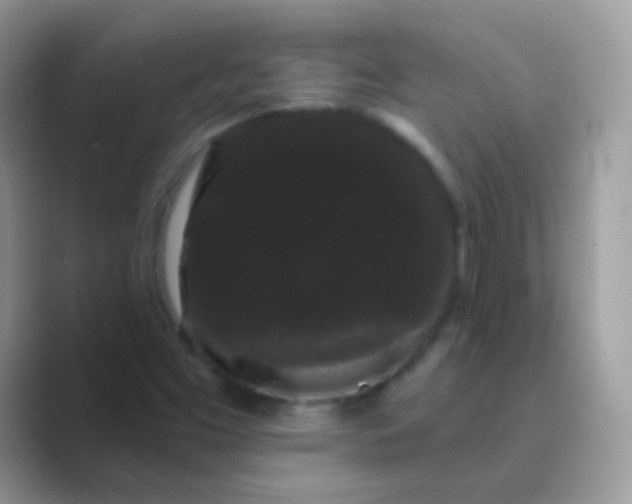 X0000089761453200707051824