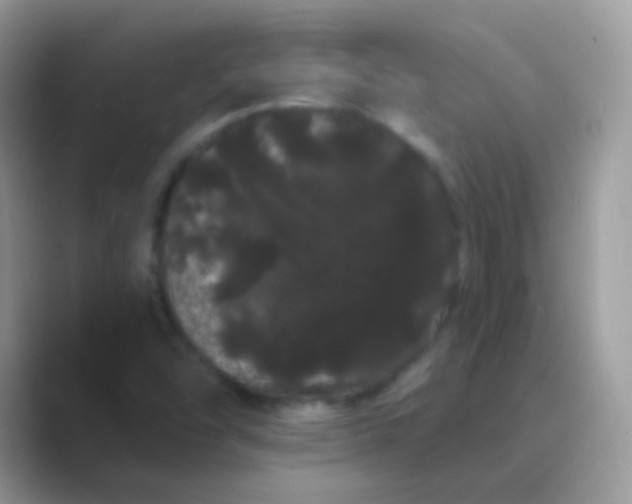 X0000089761454200707051824