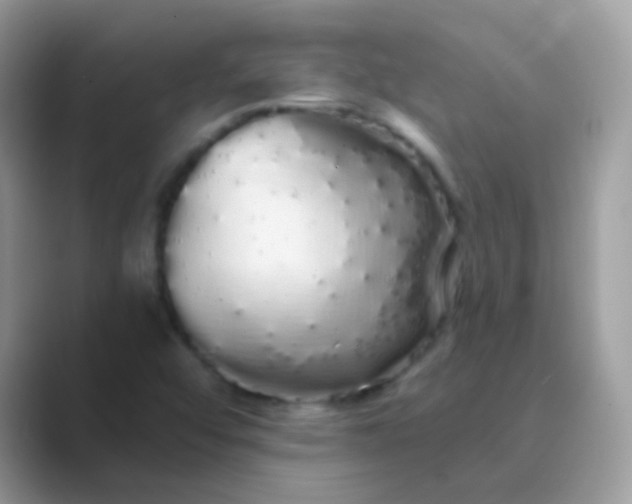 X0000089761456200707051824