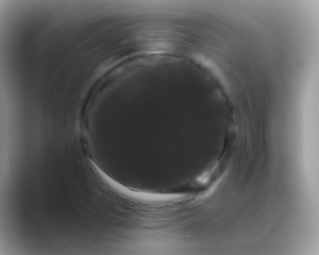 X0000089761457200707051824