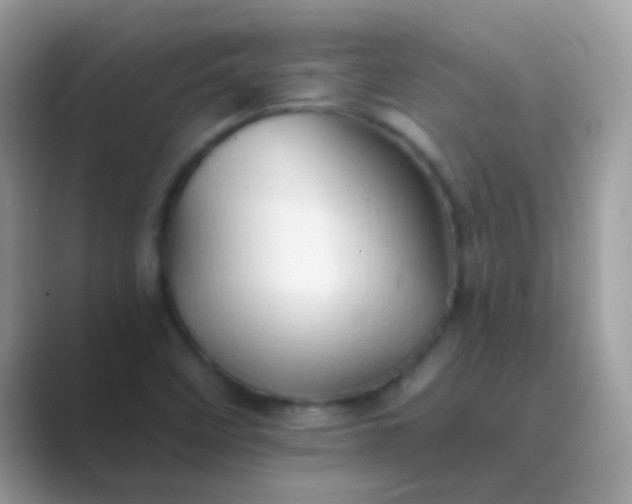 X0000089761458200707051824