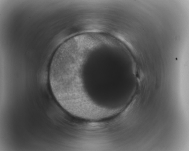 X0000089761459200707051824