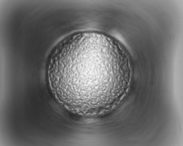 X0000089761460200707051824