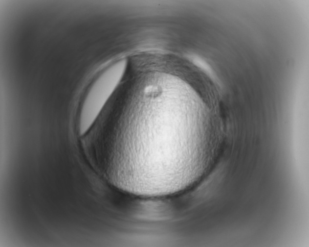 X0000089761461200707051824