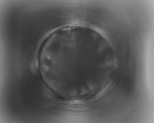 X0000089761462200707051824