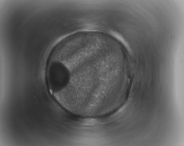 X0000089761463200707051824