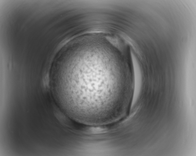 X0000089761465200707051824