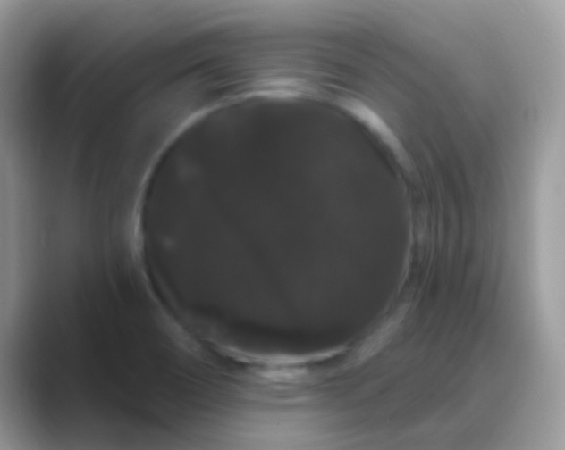 X0000089761466200707051824