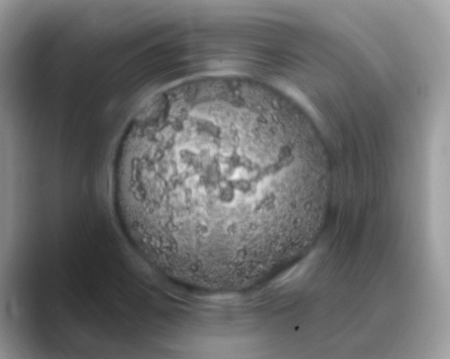 X0000089761467200707051824