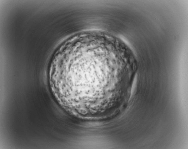 X0000089761468200707051824