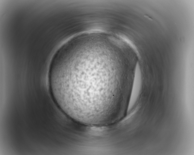 X0000089761469200707051824