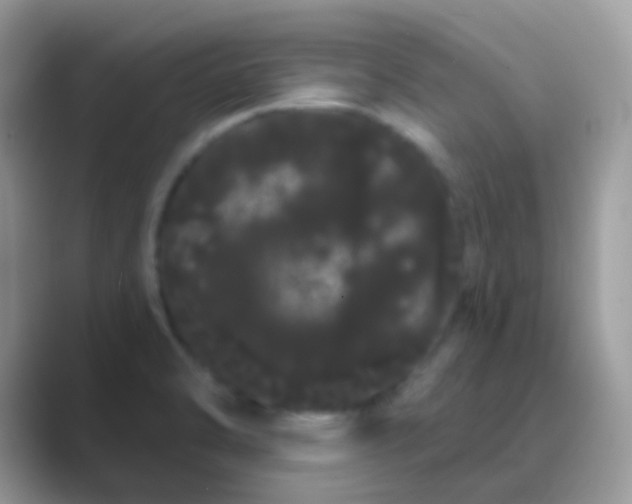 X0000089761470200707051824