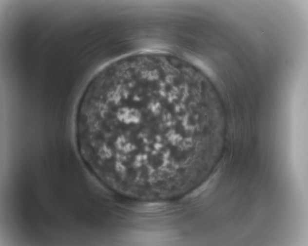 X0000089761471200707051824