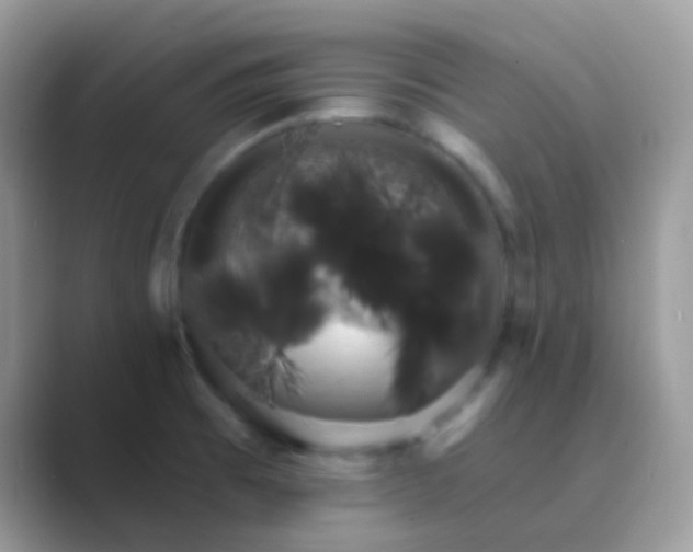 X0000089761473200707051824