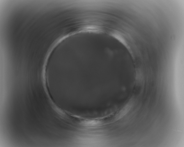 X0000089761474200707051824