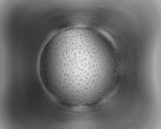 X0000089761475200707051824