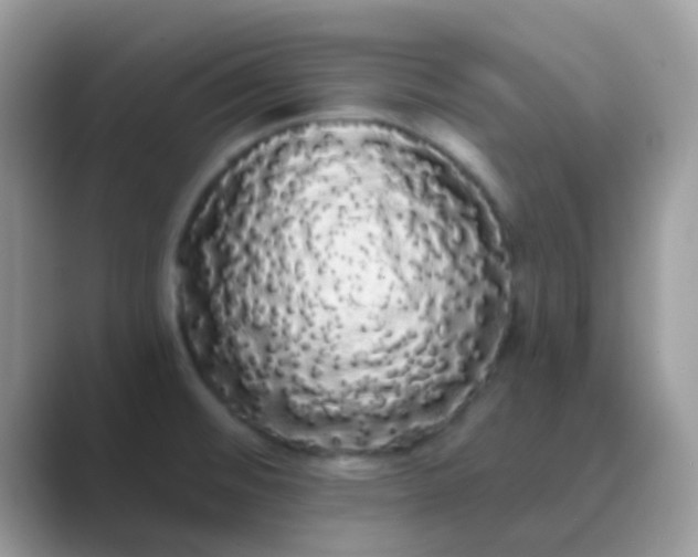 X0000089761476200707051824