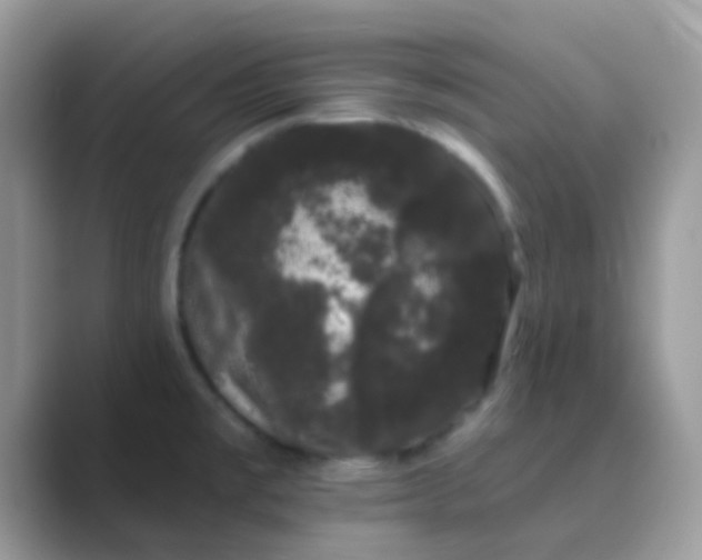 X0000089761477200707051824