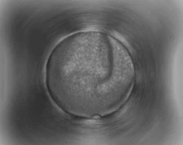 X0000089761479200707051824